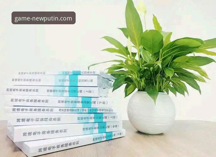 7个维度深度解析新普京iOS版评测：从安装到体验的全方位指南